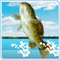 Klicken zum Spielen: Bass Fishing Pro