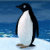Klicken zum Spielen: Turbocharged Penguins!