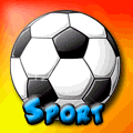 Sport Flash - Kategorie ansehen